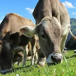 Apartamento Auszeit Füssen