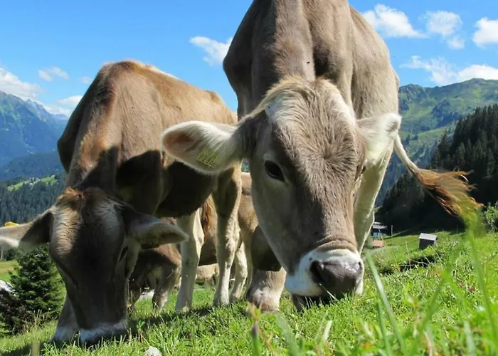 Διαμέρισμα Auszeit Füssen